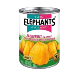 Jackfruit w słodkim syropie 565g Twin